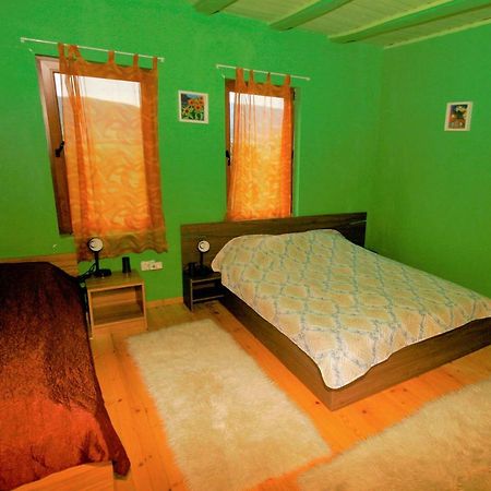 Chuchi Guest House 1 Zlatna Panega エクステリア 写真
