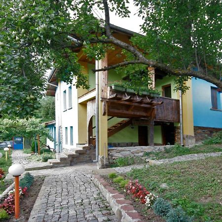 Chuchi Guest House 1 Zlatna Panega エクステリア 写真