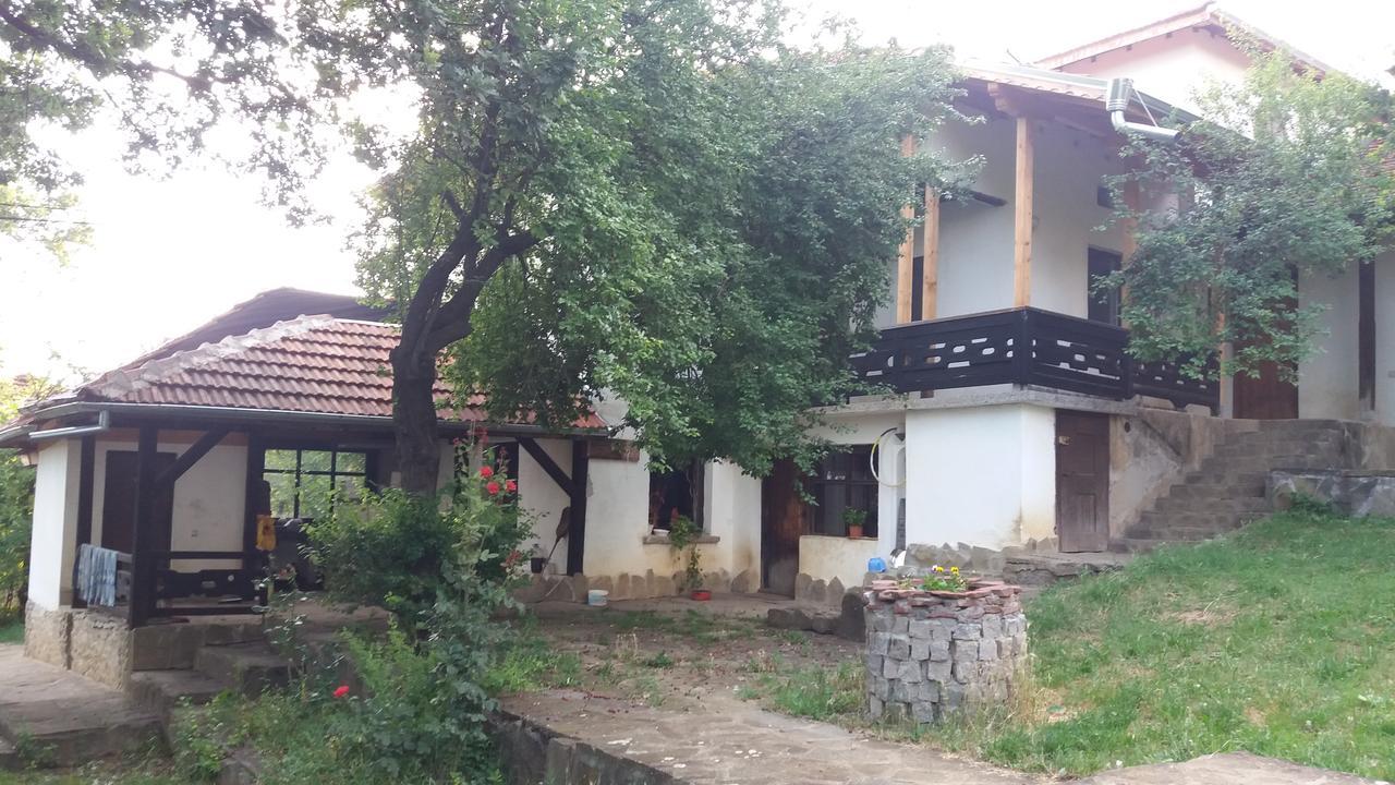 Chuchi Guest House 1 Zlatna Panega エクステリア 写真