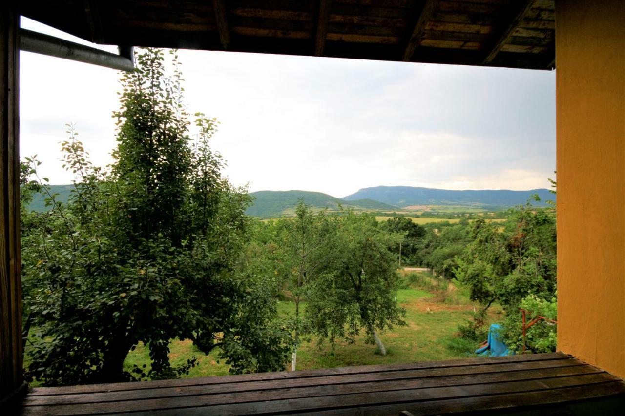 Chuchi Guest House 1 Zlatna Panega エクステリア 写真