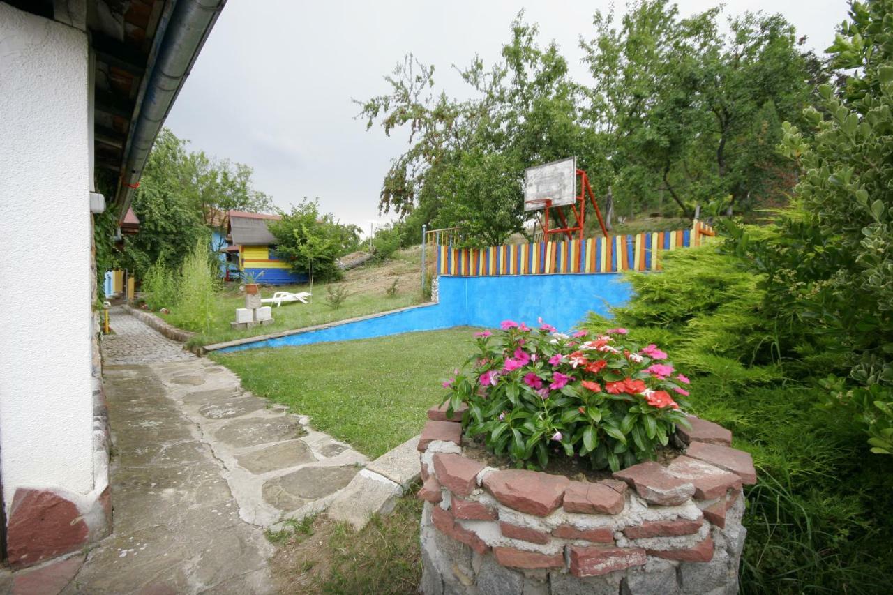 Chuchi Guest House 1 Zlatna Panega エクステリア 写真