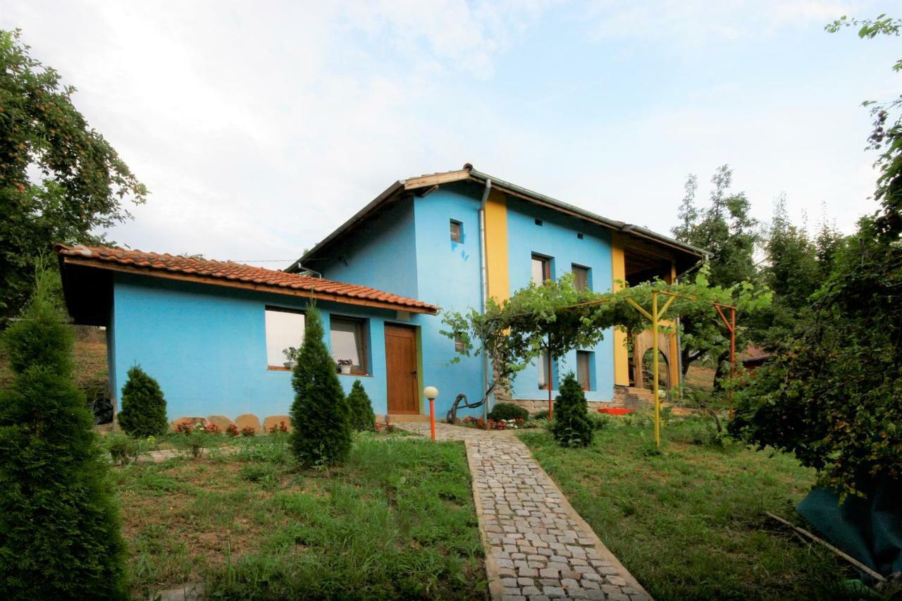 Chuchi Guest House 1 Zlatna Panega エクステリア 写真