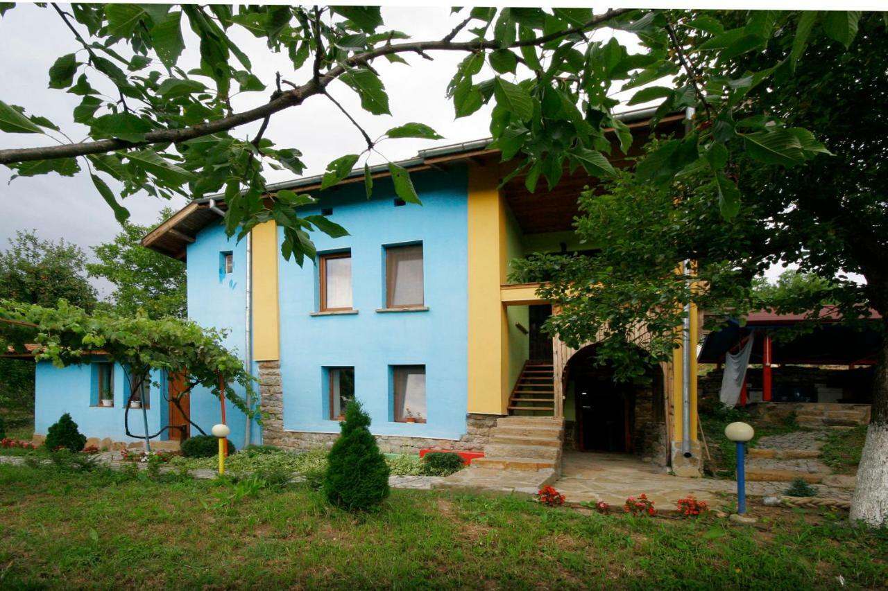 Chuchi Guest House 1 Zlatna Panega エクステリア 写真