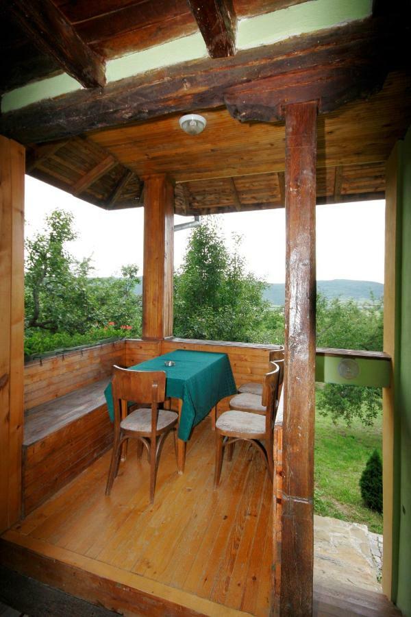 Chuchi Guest House 1 Zlatna Panega エクステリア 写真