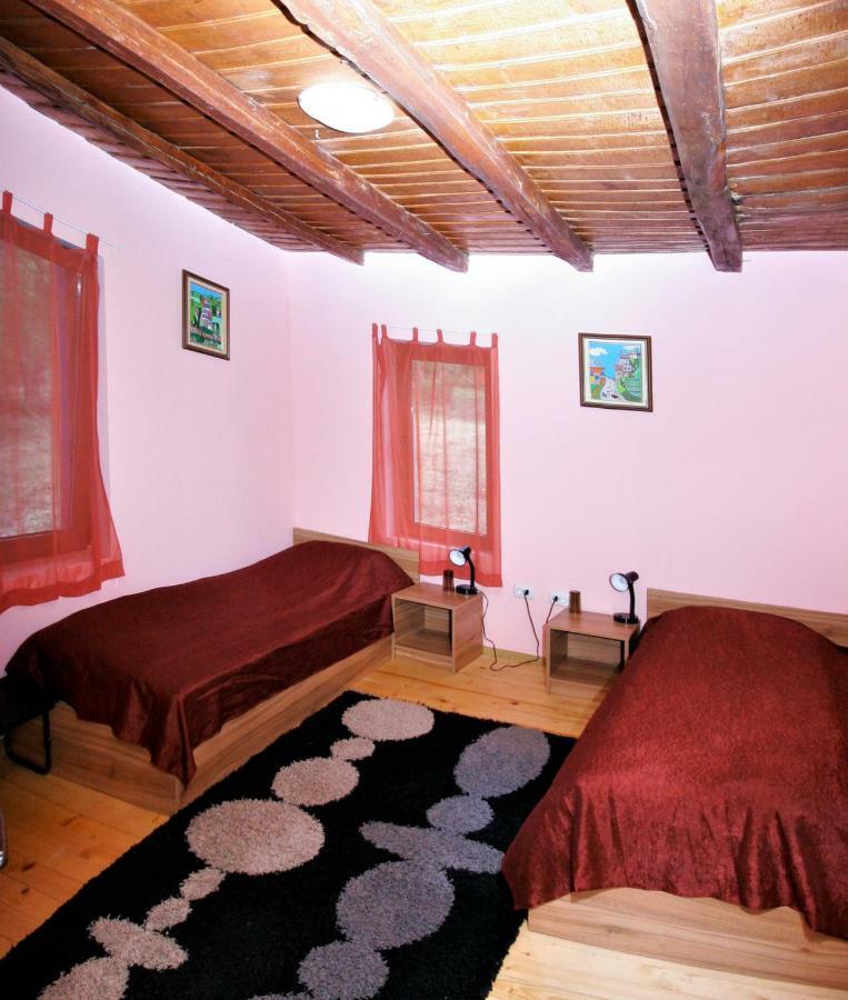 Chuchi Guest House 1 Zlatna Panega エクステリア 写真