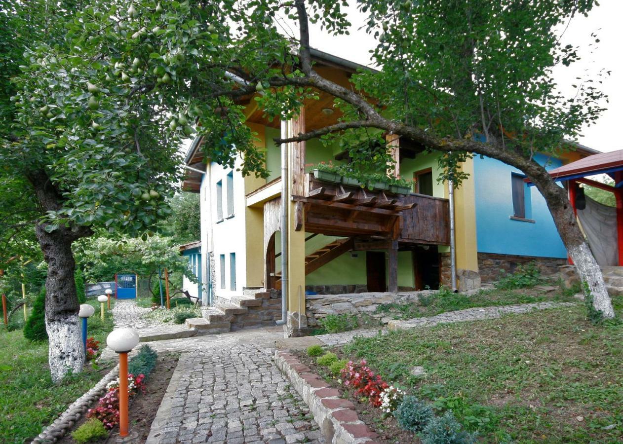 Chuchi Guest House 1 Zlatna Panega エクステリア 写真